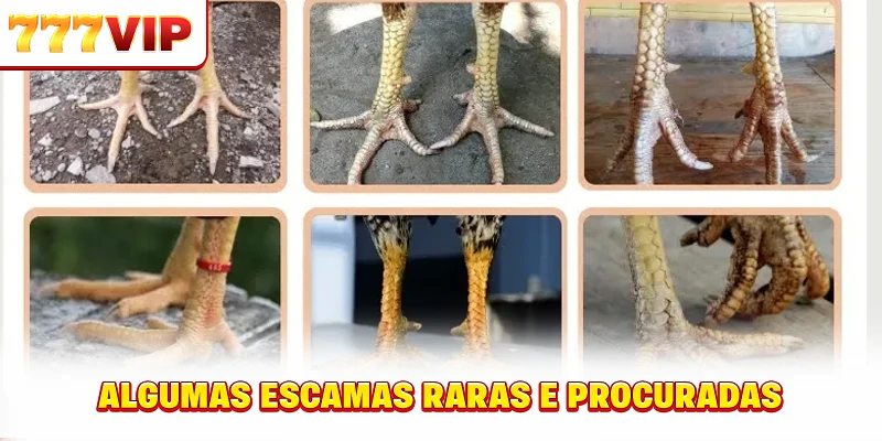 Algumas informações sobre o tipo OK de loteria do Norte