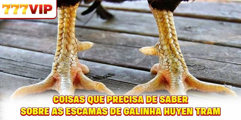 Conheça a tecnologia aplicada na Loteria do Norte de OK