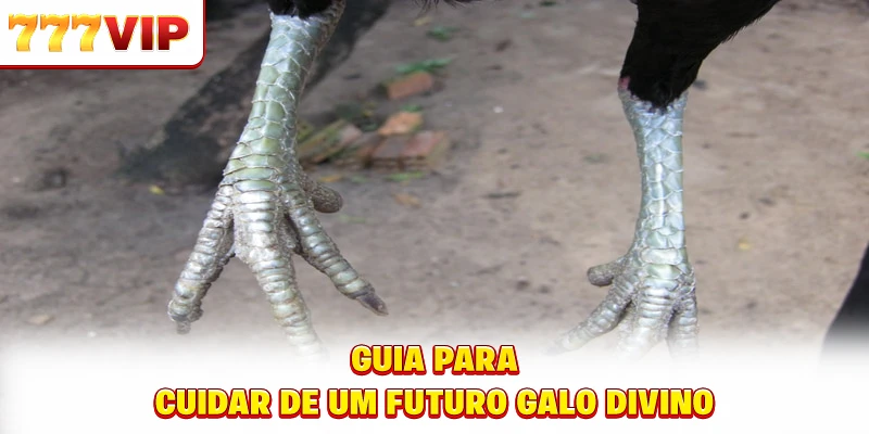 Alguns tipos populares na OK Northern Lottery